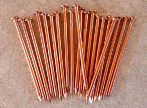 3.5 Inch Copper Nails For Killing Trees, Stumps & Roots - 20 Count